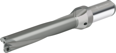 D4120.05-30.15F31-P45 Indexable insert drills